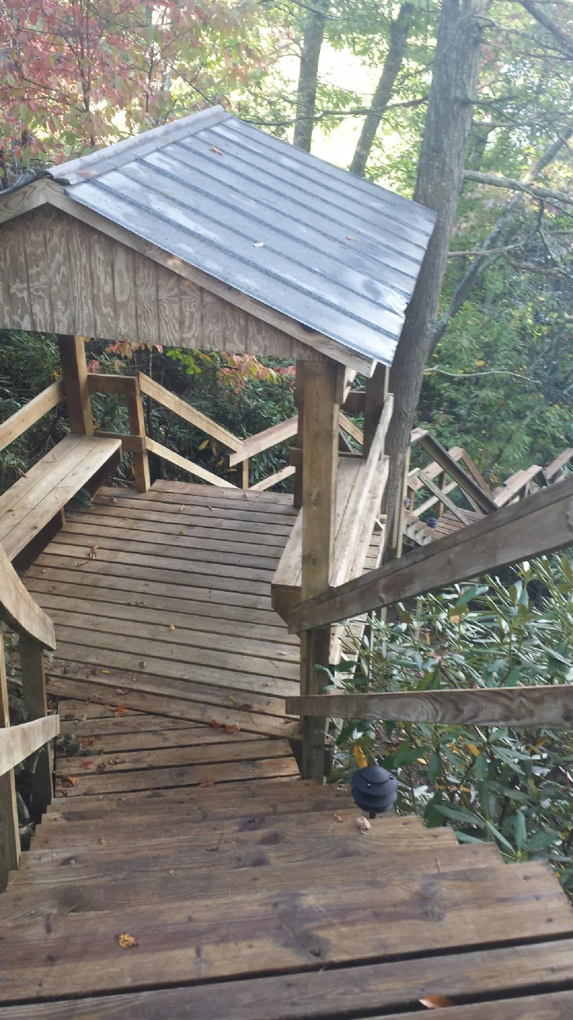 Metal roofed shelter over wooden steps on a wooded walkway — Skylight Repair & Installation work by our crew in San Dimas